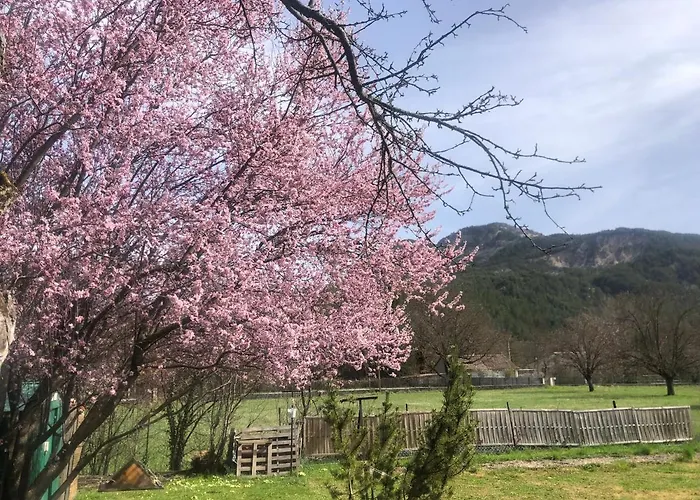 La Provencale * La Motte-Chalancon