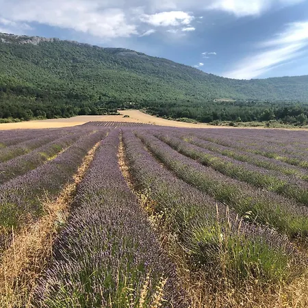 La Provencale *